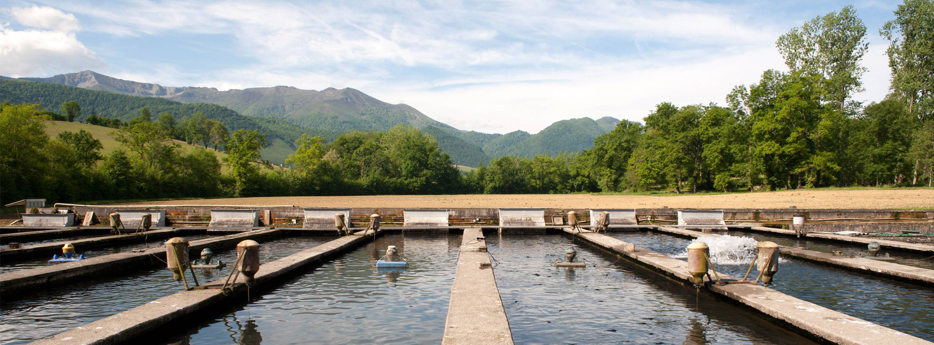 Pisciculture Groupe Aqualande