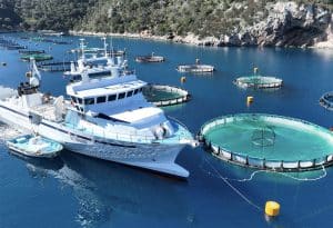 Elevage poissons marins